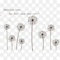 卡通手绘蒲公英-空若网 卡通手绘蒲公英-空若网