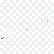 �ѹ�Ӣ-������