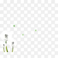 蒲公英-空若网 蒲公英-空若网