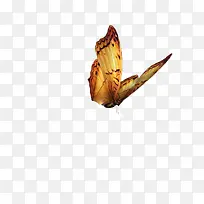 ���� ���� �걾-������