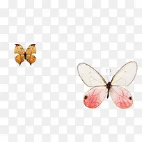 昆虫 宣传册-空若网 昆虫 宣传册-空若网