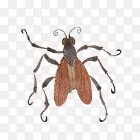 卡通苍蝇标本-空若网 卡通苍蝇标本-空若网