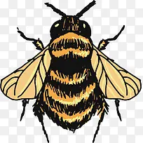 ²ÔӬʸÁ¿-¿ÕÈôÍø ²ÔӬʸÁ¿-¿ÕÈôÍø