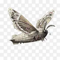 卡通手绘写实昆虫飞虫图案-空若网 卡通手绘写实昆虫飞虫图案-空若网