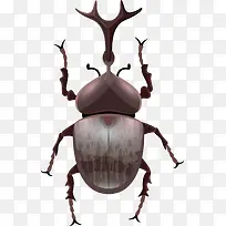 天牛矢量-空若网 天牛矢量-空若网