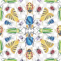 手绘昆虫-空若网 手绘昆虫-空若网