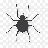 蜘蛛-空若网 蜘蛛-空若网