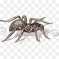 ֩��-������