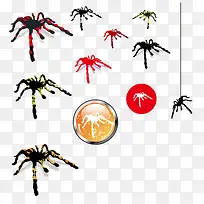 矢量蜘蛛-空若网 矢量蜘蛛-空若网