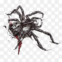 ���˵�֩��-������