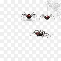 矢量蜘蛛-空若网 矢量蜘蛛-空若网