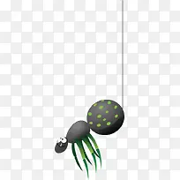 蜘蛛-空若网 蜘蛛-空若网