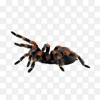 ֩�붯��-������