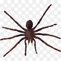 ֩��-������