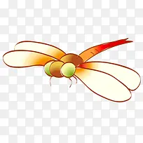 红色蜻蜓-空若网 红色蜻蜓-空若网