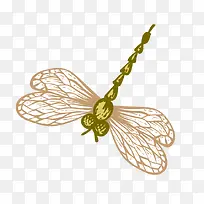 手绘蜻蜓-空若网 手绘蜻蜓-空若网