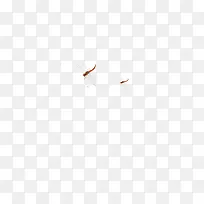 蜻蜓,昆虫-空若网 蜻蜓,昆虫-空若网