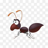 蚂蚁-空若网 蚂蚁-空若网