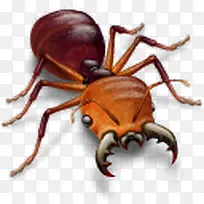 蚂蚁-空若网 蚂蚁-空若网