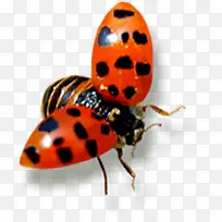 ����ư���������-������