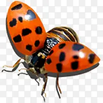 �����ɫ�ļ�����-������