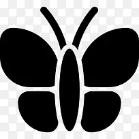 蝴蝶图标-空若网 蝴蝶图标-空若网