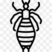 虱图标-空若网 虱图标-空若网