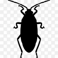 Roach 图标-空若网 Roach 图标-空若网