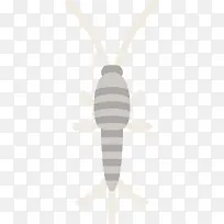 Silverfish ͼ±ê-¿ÕÈôÍø Silverfish ͼ±ê-¿ÕÈôÍø