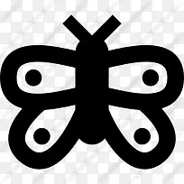 蝴蝶图标-空若网 蝴蝶图标-空若网