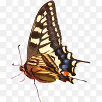 ���������������-������