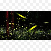 ��ҹҹ��ө�������-������