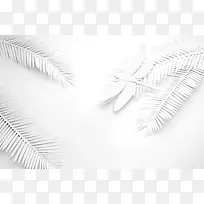 °×ɫҶ×ÓòßòÑÖ²ÎïÀ¥³æ-¿ÕÈôÍø °×ɫҶ×ÓòßòÑÖ²ÎïÀ¥³æ-¿ÕÈôÍø