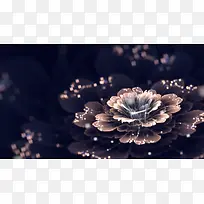 唯美时尚绚丽花朵-空若网 唯美时尚绚丽花朵-空若网