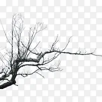 插画枯树枝-空若网 插画枯树枝-空若网