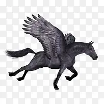 马剪影手绘马素材-空若网 马剪影手绘马素材-空若网