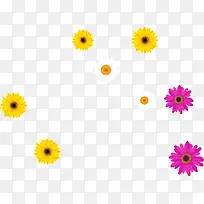 彩色唯美艺术花朵-空若网 彩色唯美艺术花朵-空若网