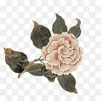 唯美简约创意花朵-空若网 唯美简约创意花朵-空若网