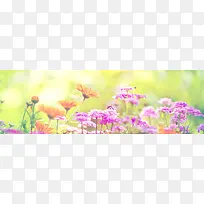 唯美昆虫花朵素材大自然素材-空若网 唯美昆虫花朵素材大自然素材-空若网