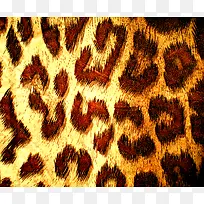 时尚豹纹背景-空若网 时尚豹纹背景-空若网