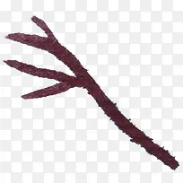 ��ɫ��ƿ�ͨ��֦-������