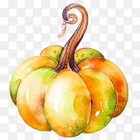 水彩南瓜-空若网 水彩南瓜-空若网