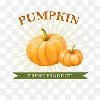 南瓜蔬菜标签-空若网 南瓜蔬菜标签-空若网