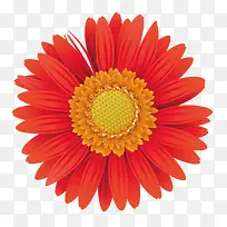 ���տ�װ����� ʸ��-������