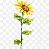 �ʻ����տ�������Ӱ-������