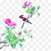 水墨画白色花红鸟-空若网 水墨画白色花红鸟-空若网