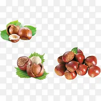 板栗产品实物免抠素材-空若网 板栗产品实物免抠素材-空若网