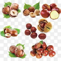 板栗产品实物免抠素材-空若网 板栗产品实物免抠素材-空若网