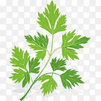 ʸ�����������ز�-������