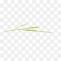 �̲�װ��-������